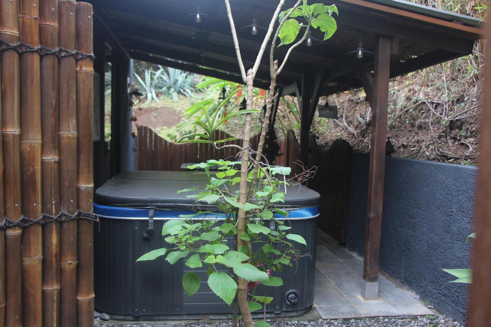La Liane De Jade 974-Lodge Le Palissandre - Jacuzzi Privatif - Piscine Chauffee Le Bois de Nefles  Экстерьер фото